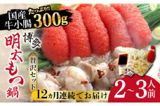 【全12回定期便】博多明太もつ鍋セット（2〜3人前）《築上町》【株式会社ベネフィス】 [ABDF048] 174000円