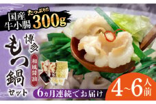 【全6回定期便】博多もつ鍋セット（和風醤油仕立て）国産牛もつ 600g　4～6人前《築上町》【株式会社ベネフィス】 [ABDF053] 120000円