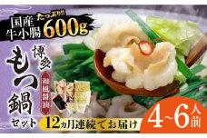 【全12回定期便】博多もつ鍋セット（和風醤油仕立て）国産牛もつ 600g　4～6人前《築上町》【株式会社ベネフィス】 [ABDF054] 240000円