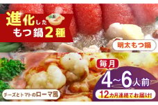 【全12回定期便】博多鍋セット（2） 進化したもつ鍋！「明太もつ鍋」と「トマトとチーズのローマ風もつ鍋」4～6人前《築上町》【株式会社ベネフィス】 [ABDF096] 286000円
