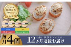 【全12回定期便】奈良漬 × クリームチーズ 4個 《築上町》【有限会社奈良漬さろん安部 / SALON DE AMBRE】 [ABAE042] 240000円 漬物 漬け物 つけもの ワイン 日本酒 ウイスキー お酒 おつまみ お供