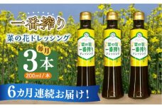 【全6回定期便】菜の花 一番搾り ドレッシング 3本《築上町》【農事組合法人　湊営農組合】 [ABAQ026] 53000円