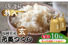 【先行予約】【全6回定期便】福岡県産【特A】評価のお米「元気つくし」5kg×2袋 [10kg] [玄米]【2024年11月下旬以降順次発送】《築上町》【株式会社ベネフィス】 [ABDF119] ご飯 ごはん 米 こめ コメ おにぎり 152000円