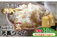 玄米 福岡県産 お米 健康 特A 5kg 定期便 特A 玄米 米ご飯 ごはん こめ コメ おにぎり 新鮮 国産 九州 九州産