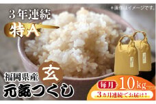 【先行予約】【全3回定期便】福岡県産【特A】評価のお米「元気つくし」5kg×2袋 [10kg] [玄米]【2024年11月下旬以降順次発送】《築上町》【株式会社ベネフィス】 [ABDF118] ご飯 ごはん 米 こめ コメ おにぎり 76000円