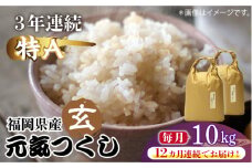 【先行予約】【全12回定期便】福岡県産【特A】評価のお米「元気つくし」5kg×2袋 [10kg] [玄米]【2024年11月下旬以降順次発送】《築上町》【株式会社ベネフィス】 [ABDF120] ご飯 ごはん 米 こめ コメ おにぎり 304000円