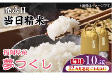 【先行予約】【全12回定期便】福岡の食卓ではおなじみの人気のお米「夢つくし」5kg×2袋 [10kg] [白米]【2024年11月下旬以降順次発送】《築上町》【株式会社ベネフィス】 [ABDF123]  精米 米 ご飯 ごはん こめ コメ 304000円