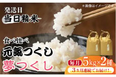 【先行予約】【全3回定期便】福岡県産【特A米】元気つくし【A米】夢つくしの食べ比べ 各5kg×2袋 [10kg] [白米]【2024年11月下旬以降順次発送】《築上町》【株式会社ベネフィス】 [ABDF124] 精米 米 ご飯 ごはん こめ コメ 76000円