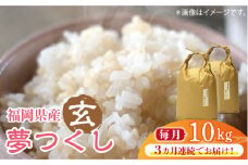 【先行予約】【全3回定期便】福岡の食卓ではおなじみの人気のお米「夢つくし」5kg×2袋 [10kg] [玄米]【2024年11月下旬以降順次発送】《築上町》【株式会社ベネフィス】 [ABDF127] ご飯 ごはん 米 こめ コメ おにぎり 76000円