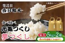 【先行予約】【全6回定期便】福岡県産【特A米】元気つくし【A米】夢つくしの食べ比べ 各5kg×2袋 [10kg] [白米]【2024年11月下旬以降順次発送】《築上町》【株式会社ベネフィス】 [ABDF125] 精米 米 ご飯 ごはん こめ コメ 152000円