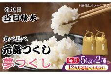 【先行予約】【全12回定期便】福岡県産【特A米】元気つくし【A米】夢つくしの食べ比べ 各5kg×2袋 [10kg] [白米]【2024年11月下旬以降順次発送】《築上町》【株式会社ベネフィス】 [ABDF126] 精米 米 ご飯 ごはん こめ コメ 304000円