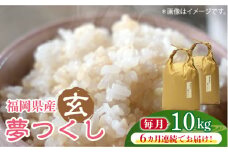 【先行予約】【全6回定期便】福岡の食卓ではおなじみの人気のお米「夢つくし」5kg×2袋 [10kg] [玄米]【2024年11月下旬以降順次発送】《築上町》【株式会社ベネフィス】 [ABDF128] ご飯 ごはん 米 こめ コメ おにぎり 152000円