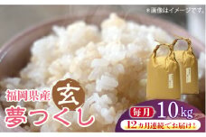 【先行予約】【全12回定期便】福岡の食卓ではおなじみの人気のお米「夢つくし」5kg×2袋 [10kg] [玄米]【2024年11月下旬以降順次発送】《築上町》【株式会社ベネフィス】 [ABDF129] ご飯 ごはん 米 こめ コメ おにぎり 304000円