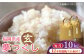玄米 米 お米 おにぎり 福岡県産 九州産 お米 5kg 定期便 玄米 米 ご飯 ごはん こめ コメ おにぎり 新鮮 国産