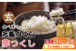 玄米 食べ比べ 福岡県産 お米 米 おにぎり 九州 定期便 玄米 米 ご飯 ごはん こめ コメ おにぎり 新鮮 国産