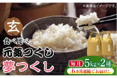【先行予約】【全6回定期便】福岡県産【特A米】元気つくし【A米】夢つくしの食べ比べ 各5kg×2袋 [10kg] [玄米]【2024年11月下旬以降順次発送】《築上町》【株式会社ベネフィス】 [ABDF131]  ご飯 ごはん 米 こめ コメ おにぎり 152000円