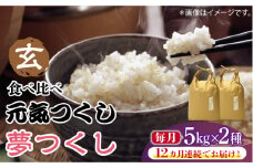 【先行予約】【全12回定期便】福岡県産【特A米】元気つくし【A米】夢つくしの食べ比べ 各5kg×2袋 [10kg] [玄米]【2024年11月下旬以降順次発送】《築上町》【株式会社ベネフィス】 [ABDF132] ご飯 ごはん 米 こめ コメ おにぎり 304000円