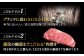 サーロイン ステーキ 博多和牛 肉 牛肉 高級 贅沢 ギフト