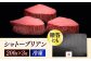 牛肉 肉 博多和牛 ギフト 贈答 ヒレ フィレ シャトーブリアン