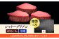 牛肉 肉 博多和牛 ギフト 贈答 ヒレ フィレ シャトーブリアン