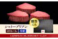 牛肉 肉 博多和牛 ギフト 贈答 ヒレ フィレ シャトーブリアン