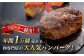 ハンバーグ 牛肉 肉 無添加 小分け 贅沢 ギフト 贈答