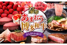 【全12回定期便】博多あまおう・博多和牛 まんぞく定期便 【築上町】 [ABZY006] 600000円