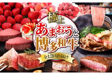 【全12回定期便】博多あまおう・博多和牛ステーキ ボリューム定期便 【築上町】 [ABZY007] 1000000円