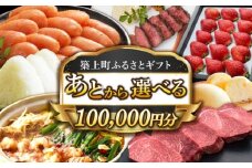 【あとから選べる】築上町ふるさとギフト 10万円分 [ABZY013] 寄附10万円相当 10万円 100000円 あとから寄付 寄附 あとからギフト あとから選べる カタログ カタログギフト 選べ 100000円