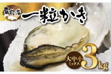 殻付き 生牡蠣 「豊前海一粒かき (しいだ小粒がき)」 3kg 大中小サイズ ミックス 《築上町》【築上町蓄養殖部会】 牡蠣 かき カキ [ABAY007] 12000円