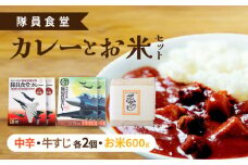 隊員食堂カレー（中辛２個・牛すじ２個）・お米600ｇセット《築上町》【NPO法人築上町観光協会】贈答 限定 レトルト 個包装 夢つくし [ABAX006] 11000円