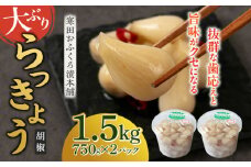 らっきょう 1.5kg（こしょう）　《築上町》【寒田おふくろ漬本舗】 [ABDO003] 10000円