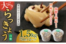 らっきょう 1.5kg（山椒）　《築上町》【寒田おふくろ漬本舗】 [ABDO004] 10000円