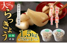 らっきょう 1.5kg（胡椒750g・山椒750g）　《築上町》【寒田おふくろ漬本舗】 [ABDO005] 10000円