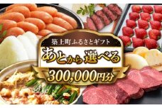 【あとから選べる】築上町ふるさとギフト 30万円分 ハンバーグ 餅 米 明太子 博多和牛 [ABZY015] 300000円