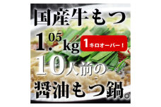 【全12回定期便】国産牛もつ1kgオーバー！九州醤油もつ鍋 10人前《築上町》【株式会社ベネフィス】 [ABDF162] 240000円