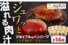 ジョイフル ハンバーグ スペシャル 詰め合わせ 2種 14個 セット《築上町》【株式会社　ジョイフル】 [ABAA070] 10000円
