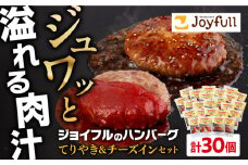 ジョイフル ハンバーグ スペシャル 詰め合わせ 2種 30個 セット《築上町》【株式会社　ジョイフル】 [ABAA071] 19000円