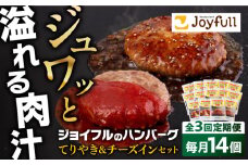 【全3回定期便】ジョイフル ハンバーグ スペシャル 詰め合わせ 2種 14個 セット《築上町》【株式会社　ジョイフル】 [ABAA075] 32000円