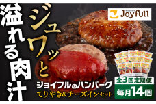 【全3回定期便】ジョイフル ハンバーグ スペシャル 詰め合わせ 2種 14個 セット《築上町》【株式会社　ジョイフル】 [ABAA075] 32000円