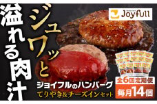 【全6回定期便】ジョイフル ハンバーグ スペシャル 詰め合わせ 2種 14個 セット《築上町》【株式会社　ジョイフル】 [ABAA076] 63000円