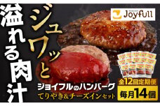 【全12回定期便】ジョイフル ハンバーグ スペシャル 詰め合わせ 2種 14個 セット《築上町》【株式会社　ジョイフル】 [ABAA077] 126000円