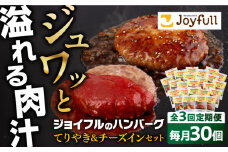 【全3回定期便】ジョイフル ハンバーグ スペシャル 詰め合わせ 2種 30個 セット《築上町》【株式会社　ジョイフル】 [ABAA078] 55000円