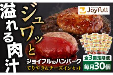 【全3回定期便】ジョイフル ハンバーグ スペシャル 詰め合わせ 2種 30個 セット《築上町》【株式会社　ジョイフル】 [ABAA078] 55000円
