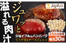 【全6回定期便】ジョイフル ハンバーグ スペシャル 詰め合わせ 2種 30個 セット《築上町》【株式会社　ジョイフル】 [ABAA079] 110000円
