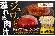 【全12回定期便】ジョイフル ハンバーグ スペシャル 詰め合わせ 2種 30個 セット《築上町》【株式会社　ジョイフル】 [ABAA080] 220000円