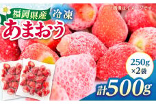 福岡県産 冷凍あまおう 500g（250g×2個）≪築上町≫【株式会社木村食品】[ABEB025] いちご イチゴ 苺 果物 フルーツ [ABEB025] 7000円
