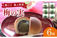 【老舗の菓子屋】築上銘菓「 梅の実 」6 個《築上町》【有限会社 御菓子司 鹿の子】 [ABAC015]