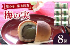 【老舗の菓子屋】築上銘菓「 梅の実 」8 個《築上町》【有限会社 御菓子司 鹿の子】 [ABAC016]