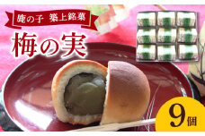 【老舗の菓子屋】築上銘菓「 梅の実 」9 個《築上町》【有限会社 御菓子司 鹿の子】 [ABAC017]